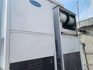 artec (16)